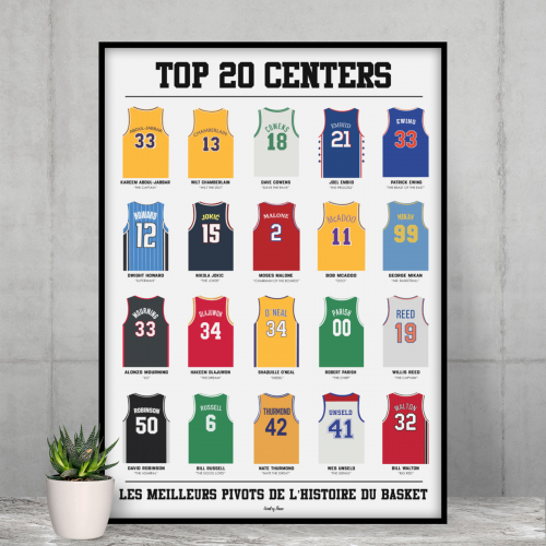 Top 20 centers - Basket 210x297 origine France