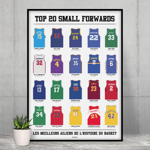 Top 20 small forwards - Basket 210x297 origine France