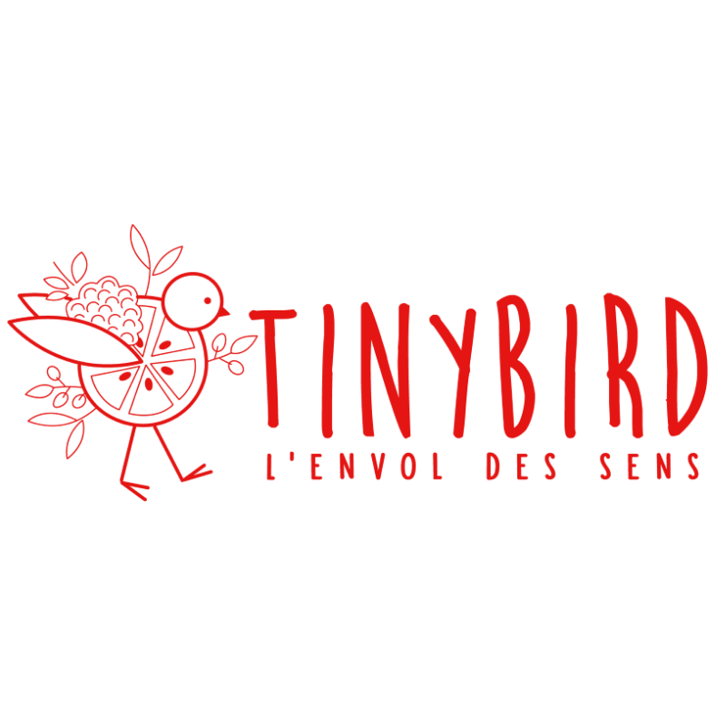 logo TinyBird