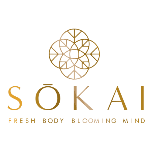 logo SŌKAI