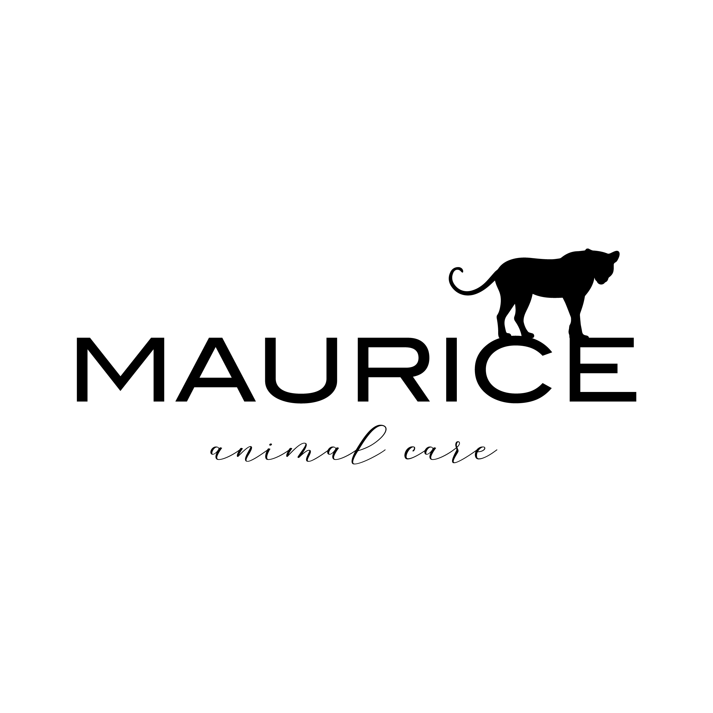 logo MAURICE